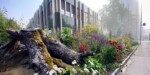 Fiktive Darstellung einer Stadt mit Biodiversität